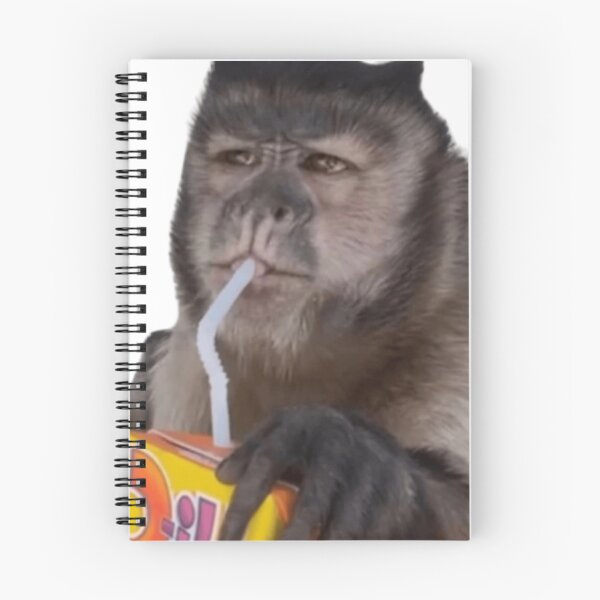 Item preview, juicy box monkey :) designed and sold by monkey zone.