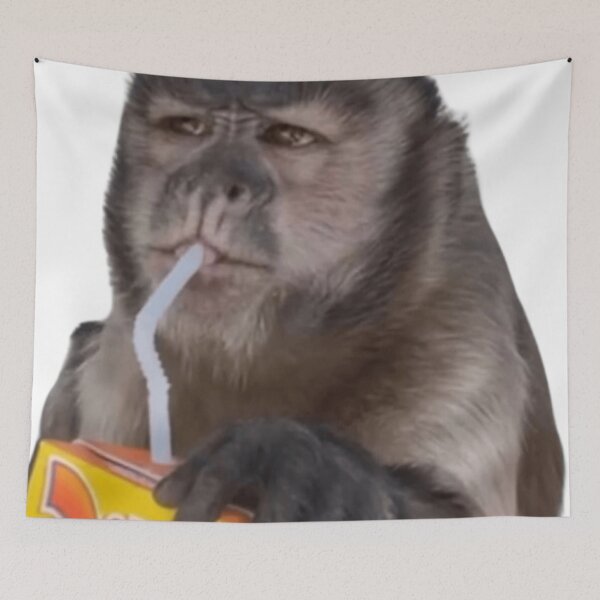 Item preview, juicy box monkey :) designed and sold by monkey zone.