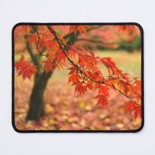 Item preview, Autumn Japanese Maple designed and sold by David Bowman.