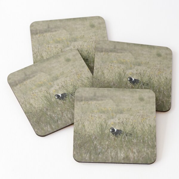 Item preview, Urraca caminando por el prado designed and sold by Ivy's Creations.