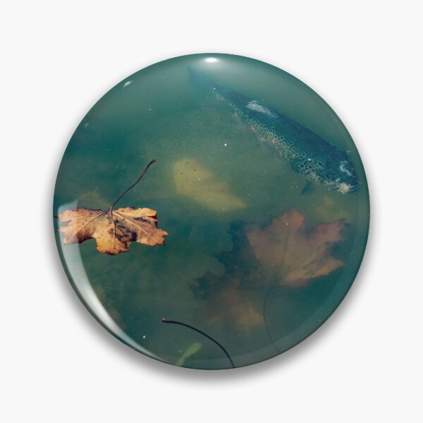 Item preview, Fotografía de peces designed and sold by RenataPhoto.