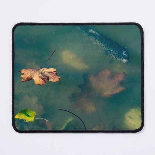 Item preview, Fishphotography designed and sold by RenataPhoto.