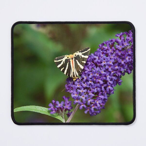 Item preview, Jersey tiger or Spanish flag designed and sold by caj26.