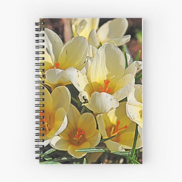 Item preview, Yellow crocuses designed and sold by Palatinasart.