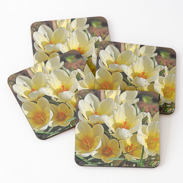 Item preview, Yellow crocuses designed and sold by Palatinasart.