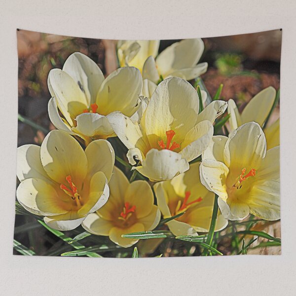 Item preview, Yellow crocuses designed and sold by Palatinasart.