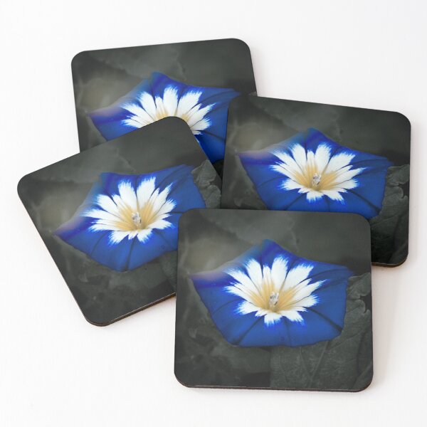 Item preview, A radiant blue flower is the focus. designed and sold by SchuLou-Fotokram.