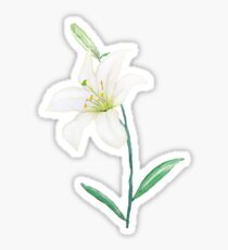 white lily watercolor Sticker