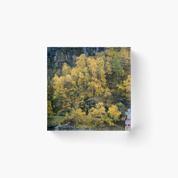Item preview, Flam Aurlandsfjord Norwegian Fjord Norway designed and sold by AndyEvansPhotos.