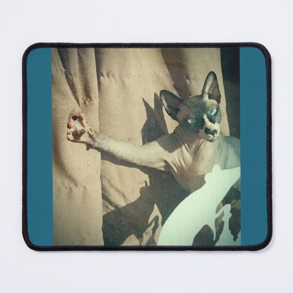 Item preview, Sphynxcat designed and sold by RenataPhoto.