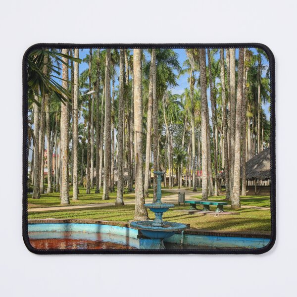 Item preview, Palm garden, Paramaribo, Surinam designed and sold by Photopat.