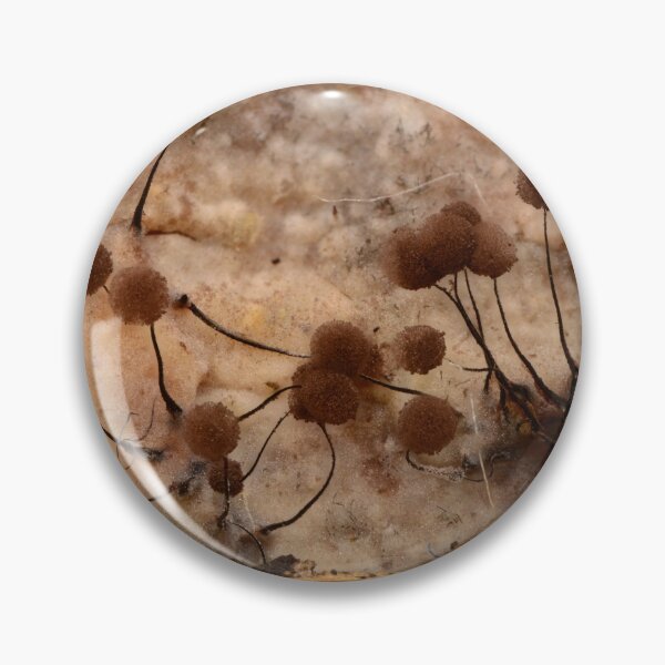 Item preview, Macro of slime mold sporangia on decaying wood designed and sold by Goiko7Margarita.