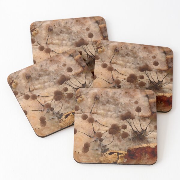 Item preview, Macro of slime mold sporangia on decaying wood designed and sold by Goiko7Margarita.