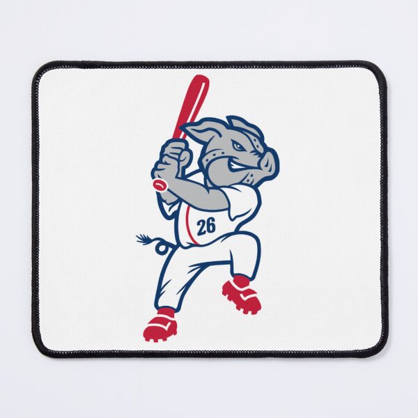 Item preview, Lehigh VIP1 Style asheville tourists designed and sold by Aynaurkinsuy.