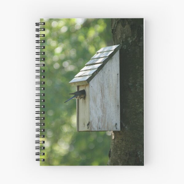Item preview, Backyard Bluebird designed and sold by Element Lens.