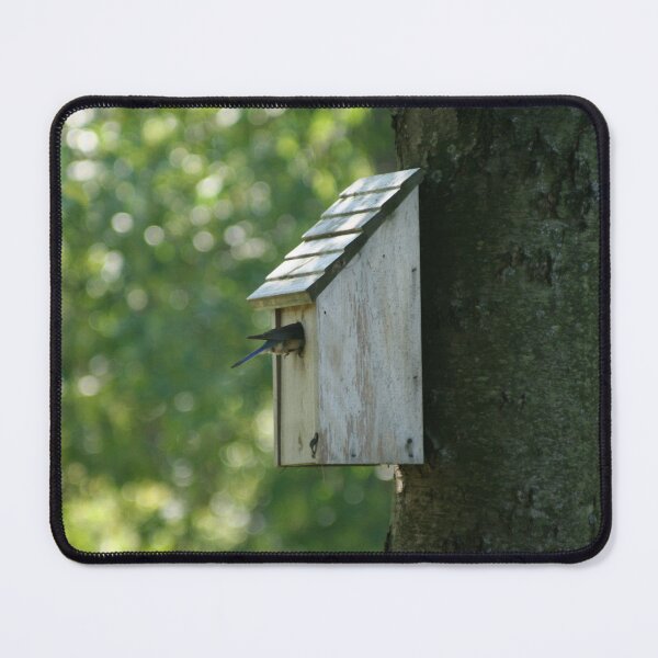 Item preview, Backyard Bluebird designed and sold by Element Lens.