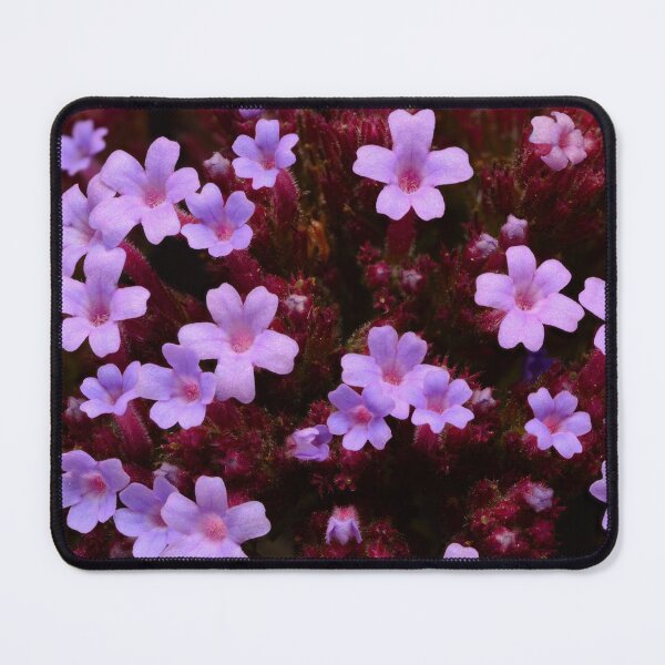 Item preview, Macro of cluster of small purple wildflowers with pink centers designed and sold by Goiko7Margarita.