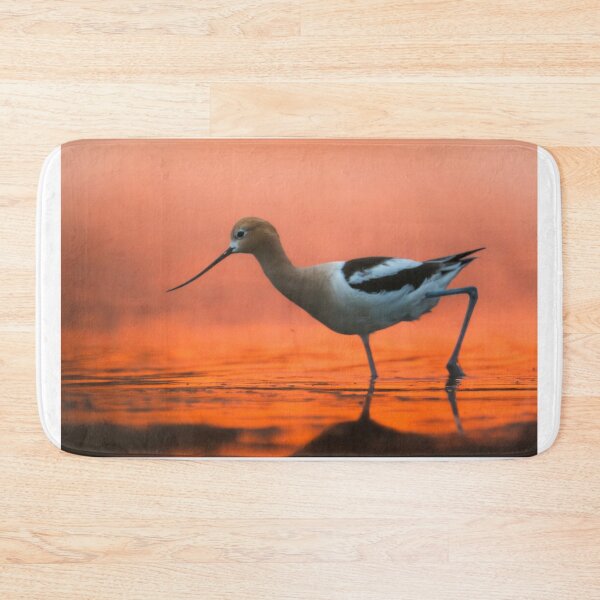 Item preview, Morning Strut (American Avocet) designed and sold by Natethokle.