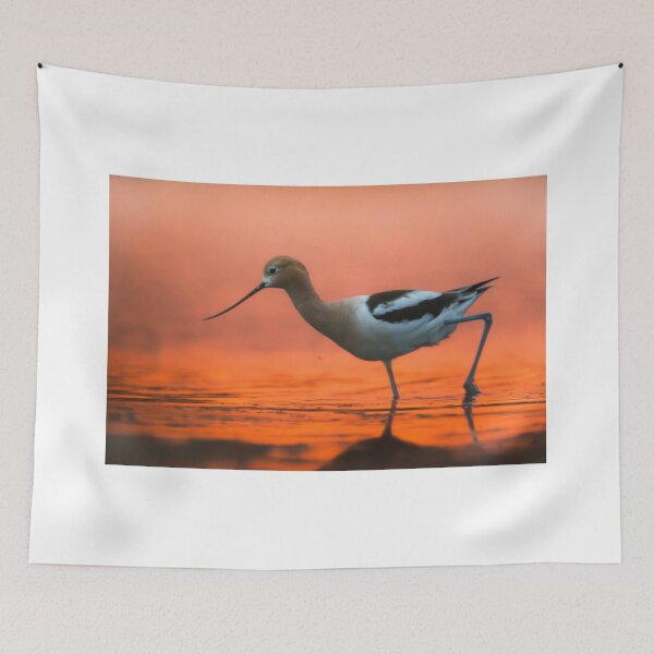 Item preview, Morning Strut (American Avocet) designed and sold by Natethokle.