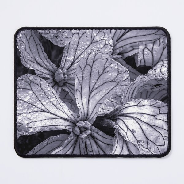 Item preview, Delicate blossoms in the morning dew – black and white macro photography designed and sold by SchuLou-Fotokram.