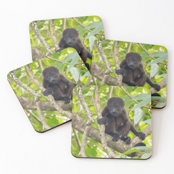 Item preview, Young howler monkey. designed and sold by Lourdie5.