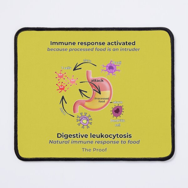 Item preview, Why Choose Raw Knowledge v10.2 designed and sold by DIVINE BODY LIFE .
