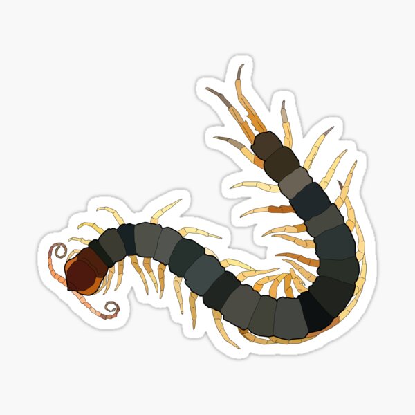 the BIG BADass Scolopendra  Sticker