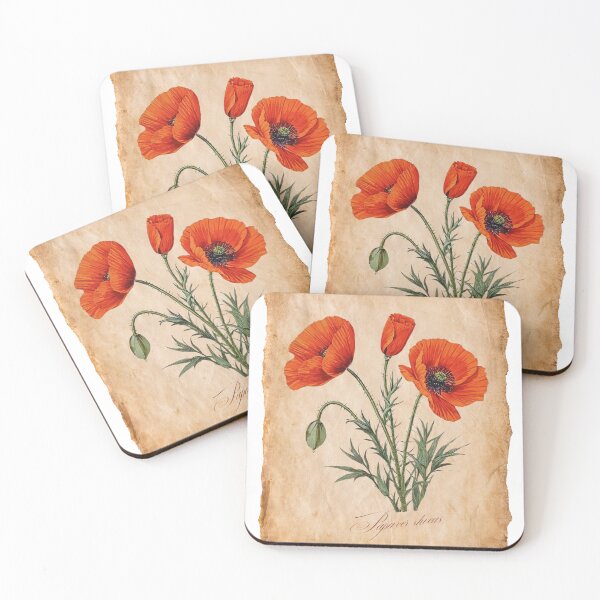 Item preview, Papaver rhoeas | Botanical Illustration with Script on Vintage Parchment designed and sold by ChristinePartlow.