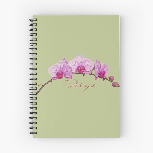 Item preview, Phalaenopsis | Pink Orchid Botanical Illustration with Script (No Background) designed and sold by ChristinePartlow.