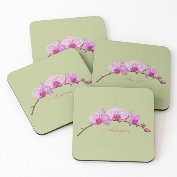 Item preview, Phalaenopsis | Pink Orchid Botanical Illustration with Script (No Background) designed and sold by ChristinePartlow.