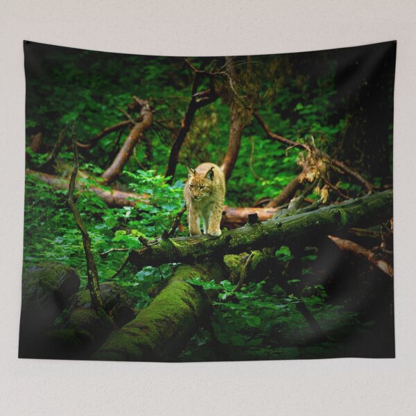 Item preview, The Hunter – Lynx on Velvet Paws / Swiss Artwork Photography designed and sold by Raphael Wolf.