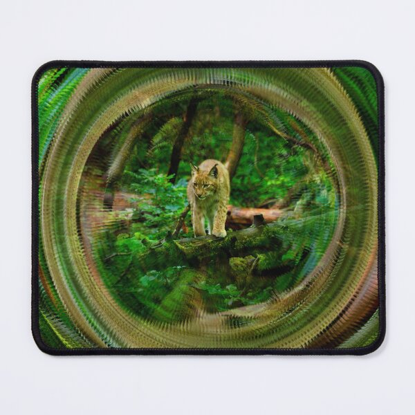 Item preview, Lynx on velvet paws – Through the hunting grounds / Swiss Artwork Photography designed and sold by Raphael Wolf.