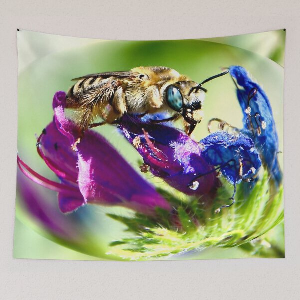 Item preview, Bee in a play of colors – tranquility on blossoms / Swiss Artwork Photography designed and sold by Raphael Wolf.
