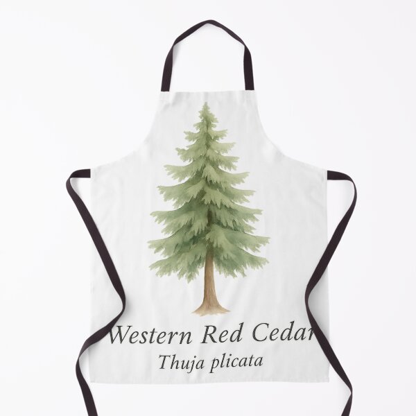 Item preview, Western Red Cedar – Pacific Rainforest Botanical Illustration designed and sold by BloomKind.