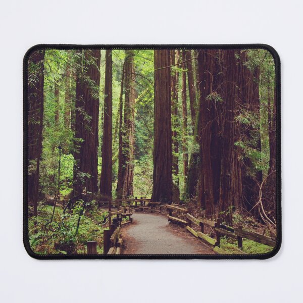 Item preview, Muir Woods - Nature and Travel Photography in USA designed and sold by CarolinaReina.