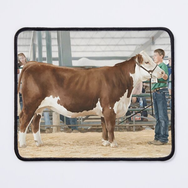 Item preview, Summertime Memories - Hereford Heifer Class designed and sold by Oldetimemercan.