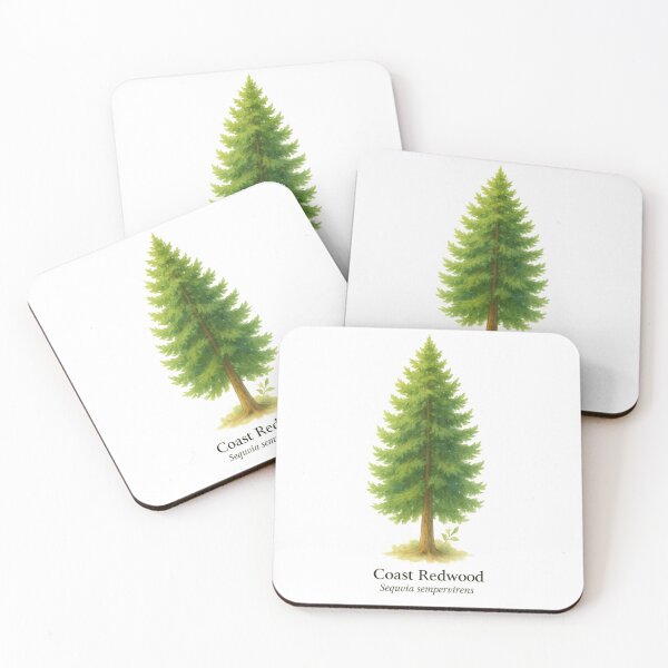 Item preview, Coast Redwood – Ancient Giant Botanical Illustration designed and sold by BloomKind.