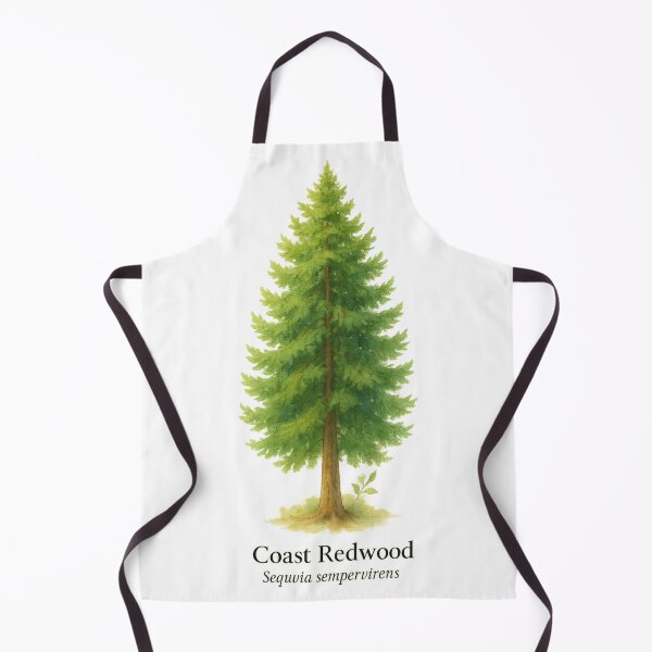 Item preview, Coast Redwood – Ancient Giant Botanical Illustration designed and sold by BloomKind.