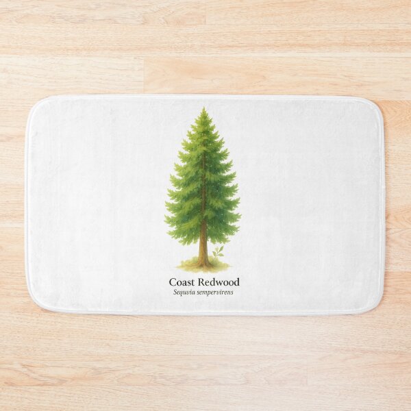 Item preview, Coast Redwood – Ancient Giant Botanical Illustration designed and sold by BloomKind.