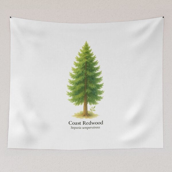 Item preview, Coast Redwood – Ancient Giant Botanical Illustration designed and sold by BloomKind.