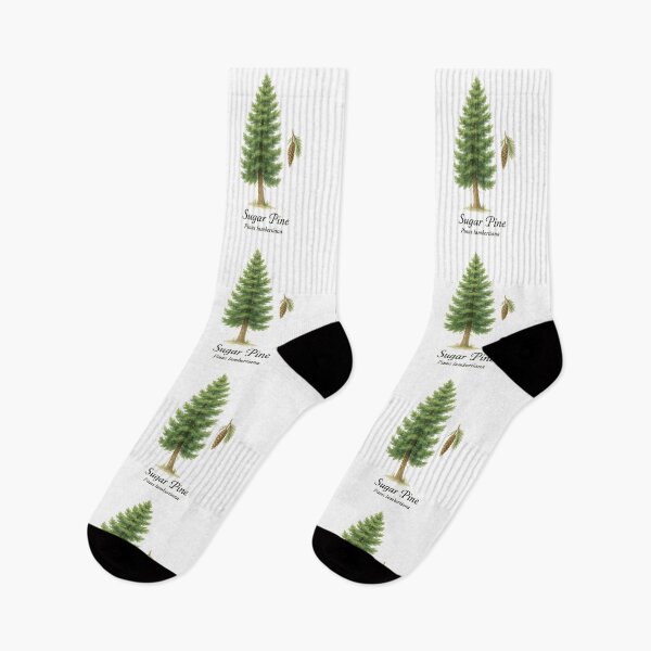 Item preview, Sugar Pine – Sierra Evergreen Botanical Illustration designed and sold by BloomKind.