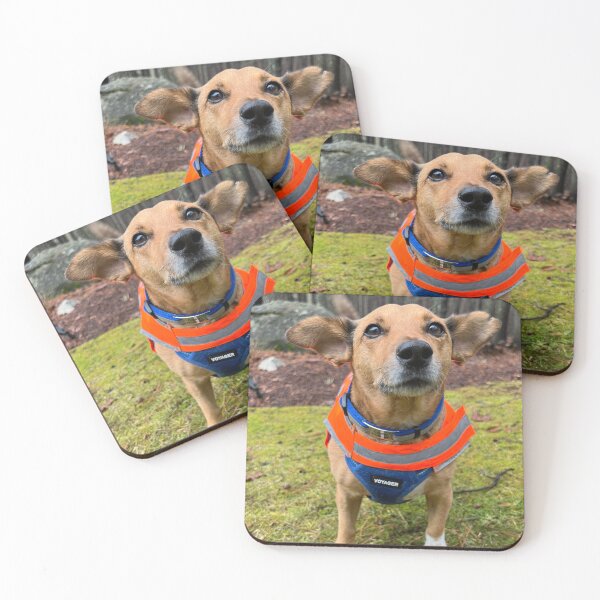 Item preview, Canelo on a walk designed and sold by susannetris.