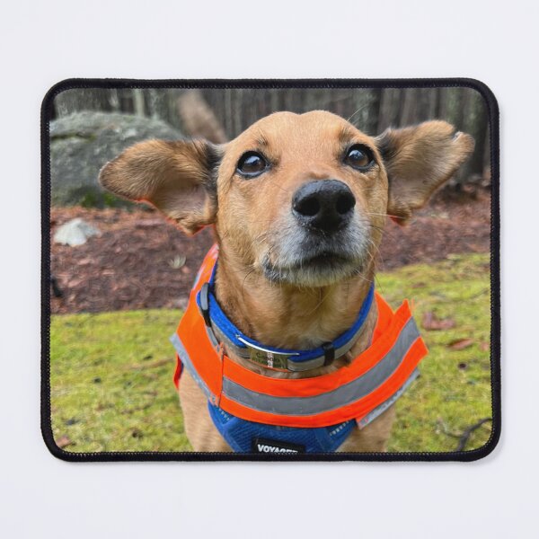 Item preview, Canelo on a walk designed and sold by susannetris.
