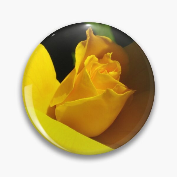Item preview, Yellow Rosebud Opening in Light and Shadow designed and sold by JoyousArt4u.