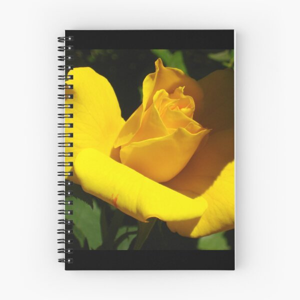 Item preview, Yellow Rosebud Opening in Light and Shadow designed and sold by JoyousArt4u.