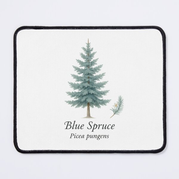 Item preview, Blue Spruce – Mountain Lodge Evergreen Botanical Illustration designed and sold by BloomKind.