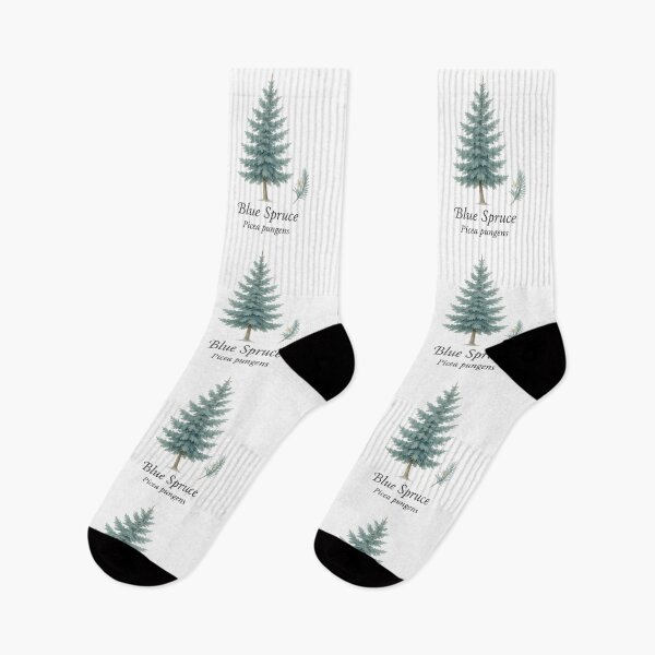 Item preview, Blue Spruce – Mountain Lodge Evergreen Botanical Illustration designed and sold by BloomKind.