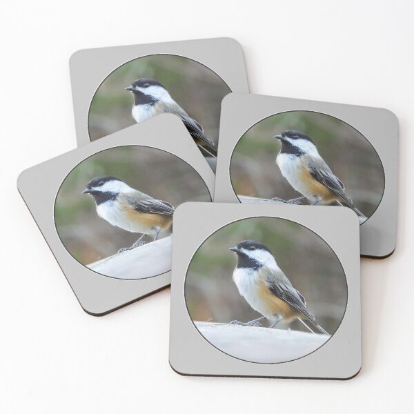 Item preview, Chickadee designed and sold by MLJM_Photography.