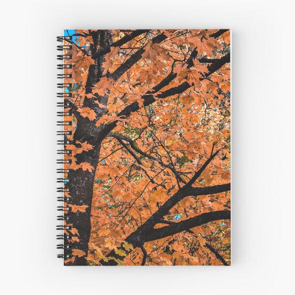 Item preview, Autumn tree designed and sold by bluerosesart37.