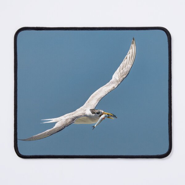 Item preview, Silver Prize designed and sold by Jan Fijolek.